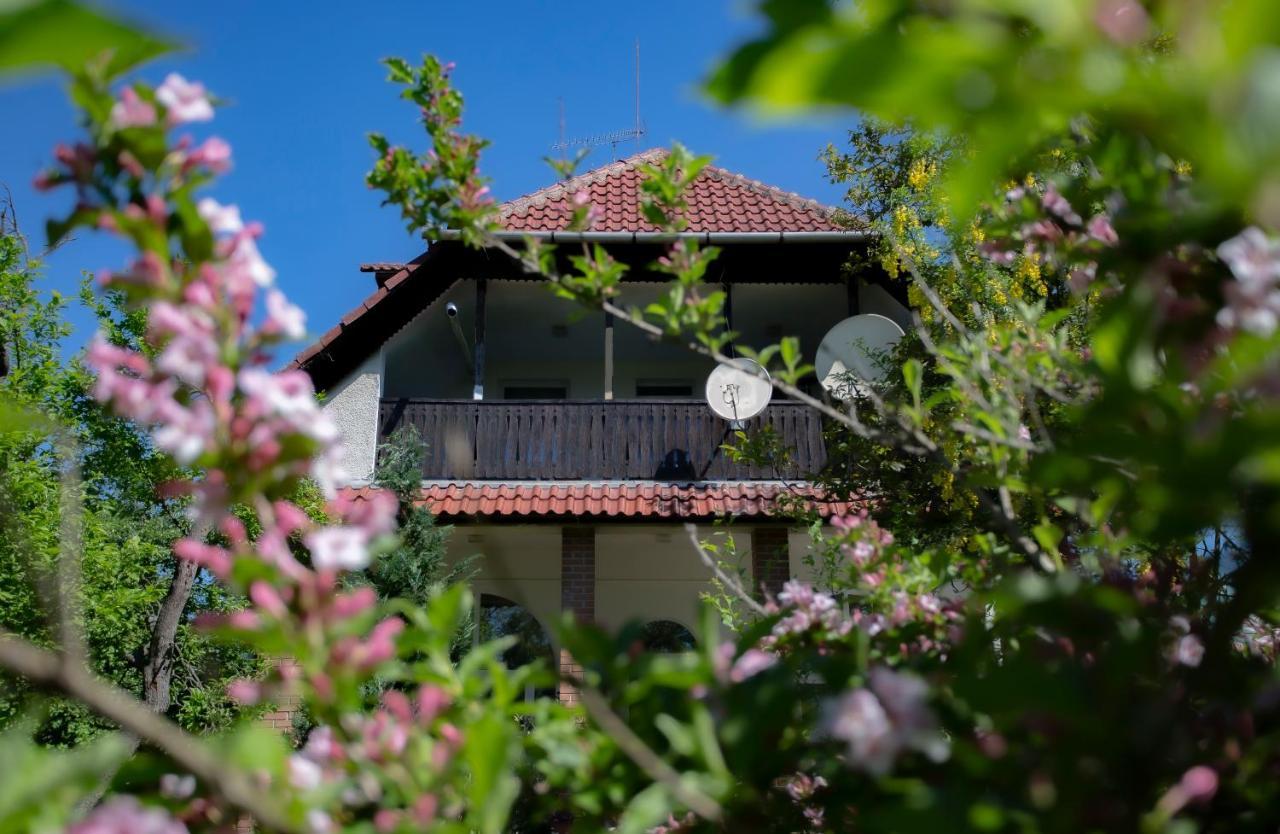 Alabastrom Panzio Es Etterem Bed and Breakfast Bogács Eksteriør billede